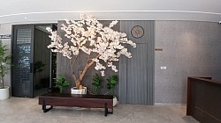 lobby & Toilet Umum